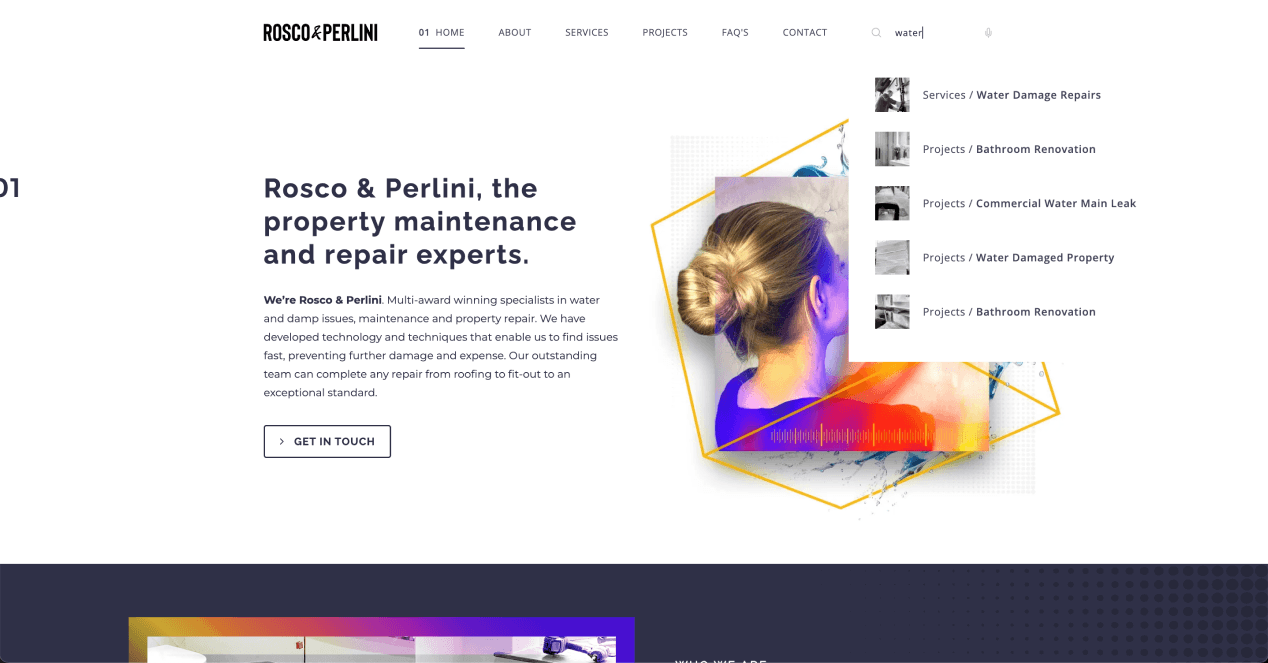 Screenshot of website search component